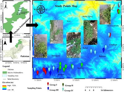 Environmental and anthropogenic drivers of watercress (Nasturtium officinale) communities in char-lands and water channels across the Swat River Basin: implication for conservation planning